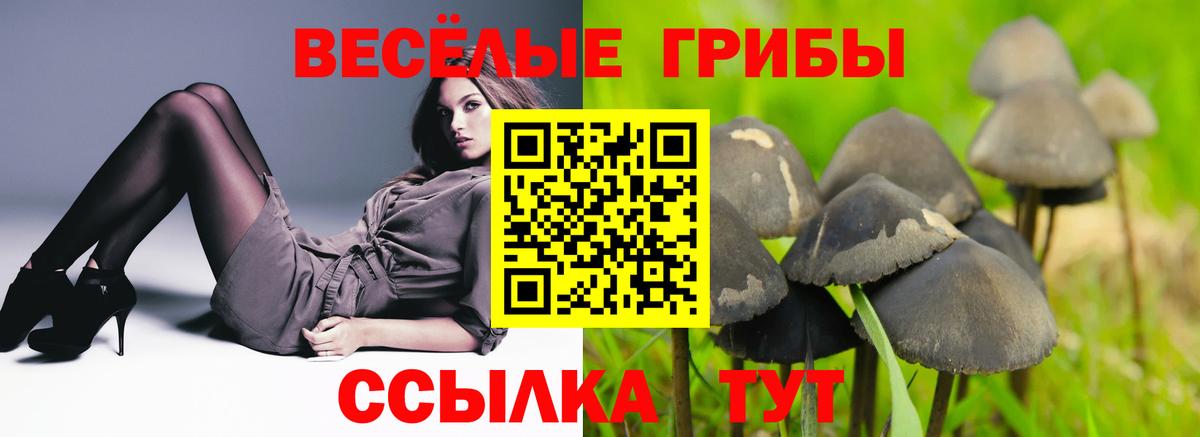 Галлюциногенные грибы прущие грибы  Псилоцибиновые грибы ЛСД  Вход с VPN  Мариинск 
